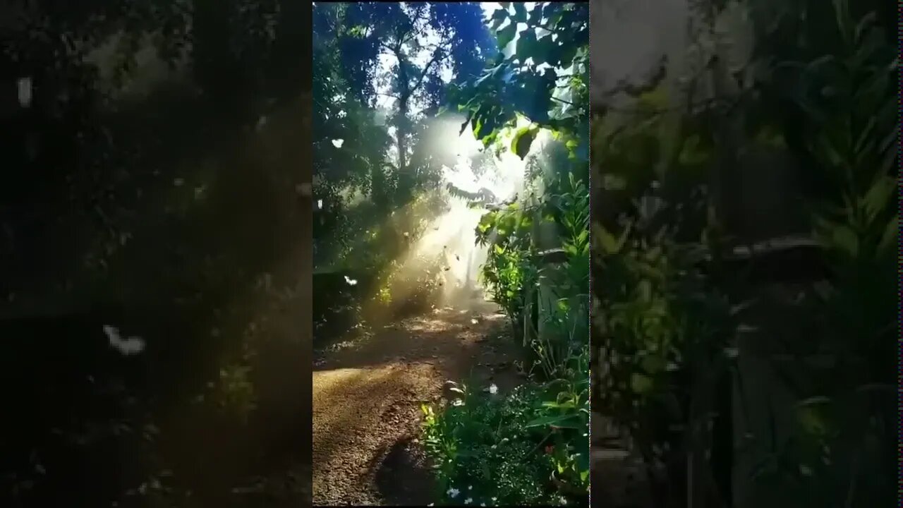 Life is a mystery waiting to be discovered