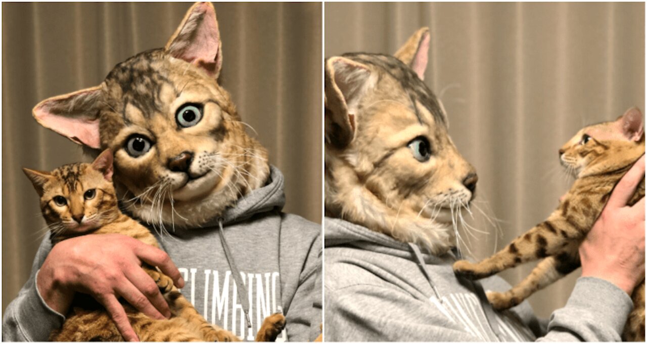 Ariel The Caracat! First shorthair MaineCoon 🐈Cats Make Me Happy