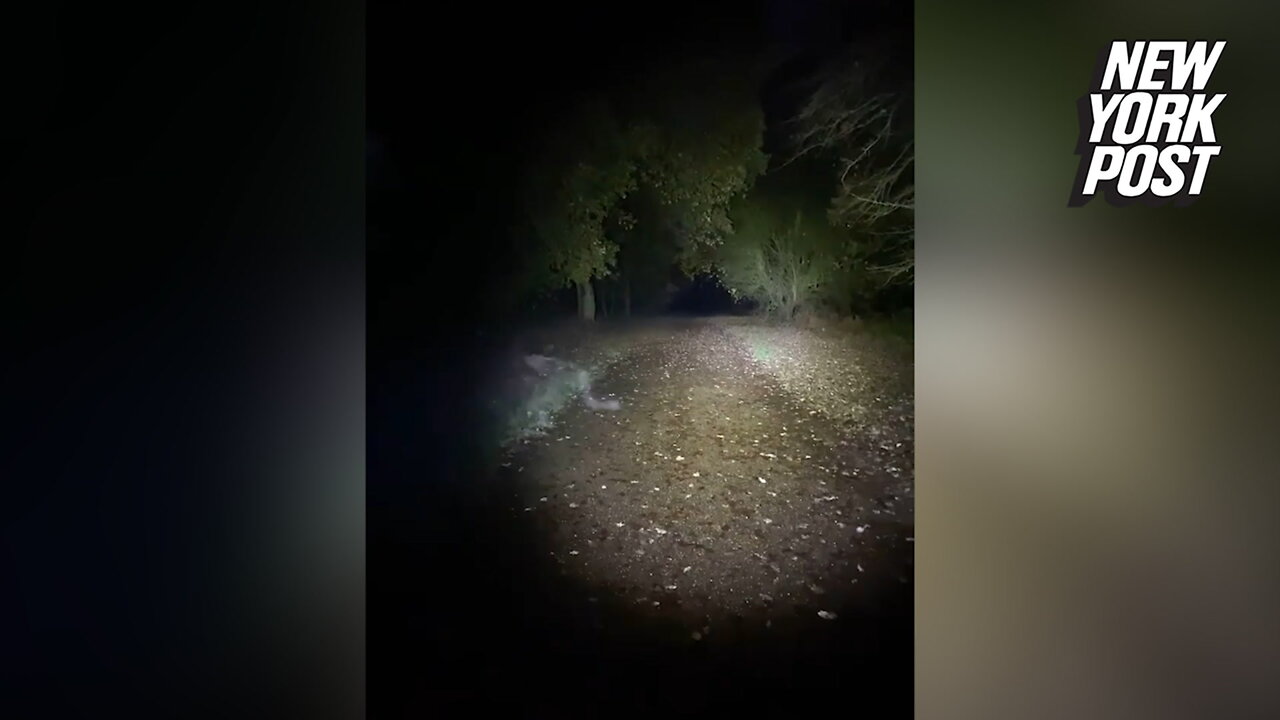 Dog-walking couple sees demonic figure scurry across path, caught on video