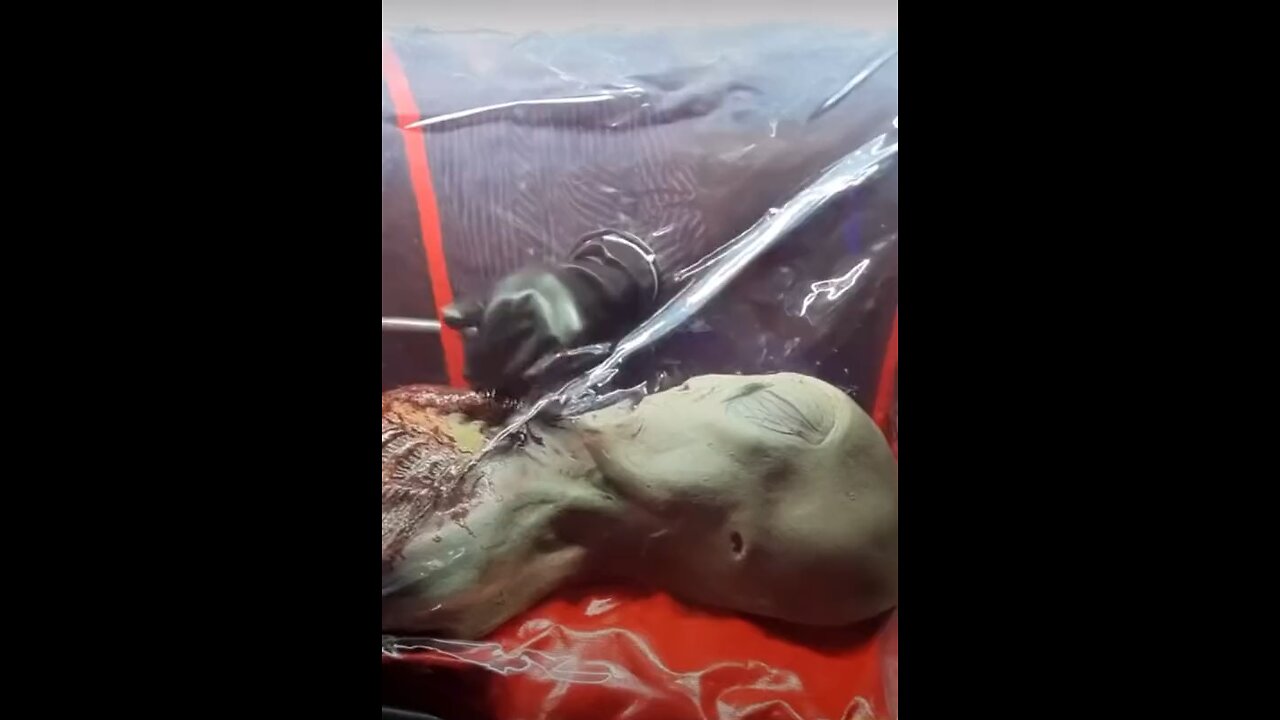 Alien