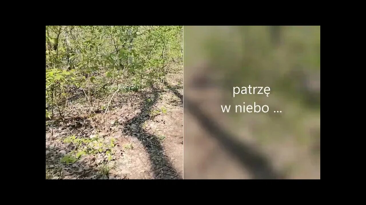 patrzę w niebo ...