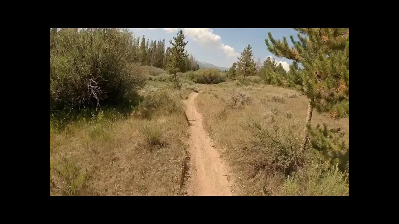 Routt National Forest - Snyder Creek 1226.1 - Part 1