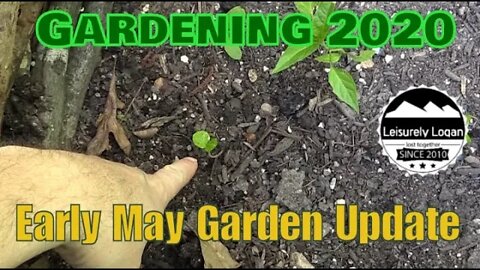 Gardening 2020: Early May Garden Update
