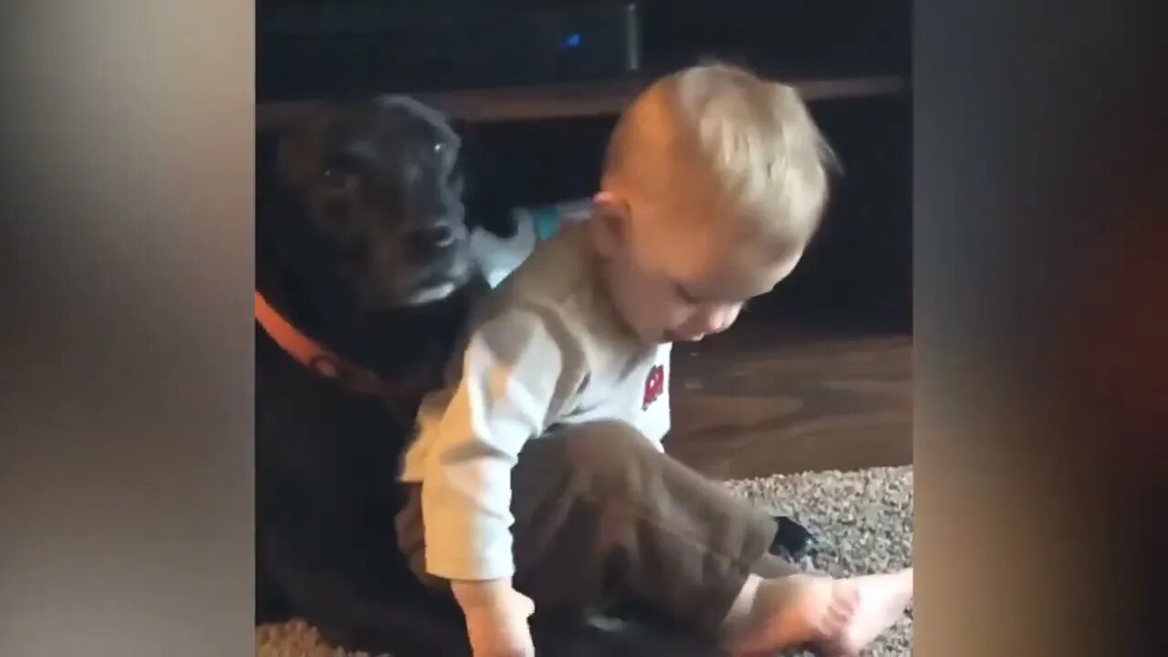 Amazing Pets Playing with Cute Kids 🦮🐕