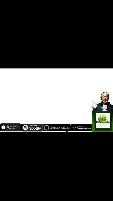 Branding & Finding Quality Beyond the Hype