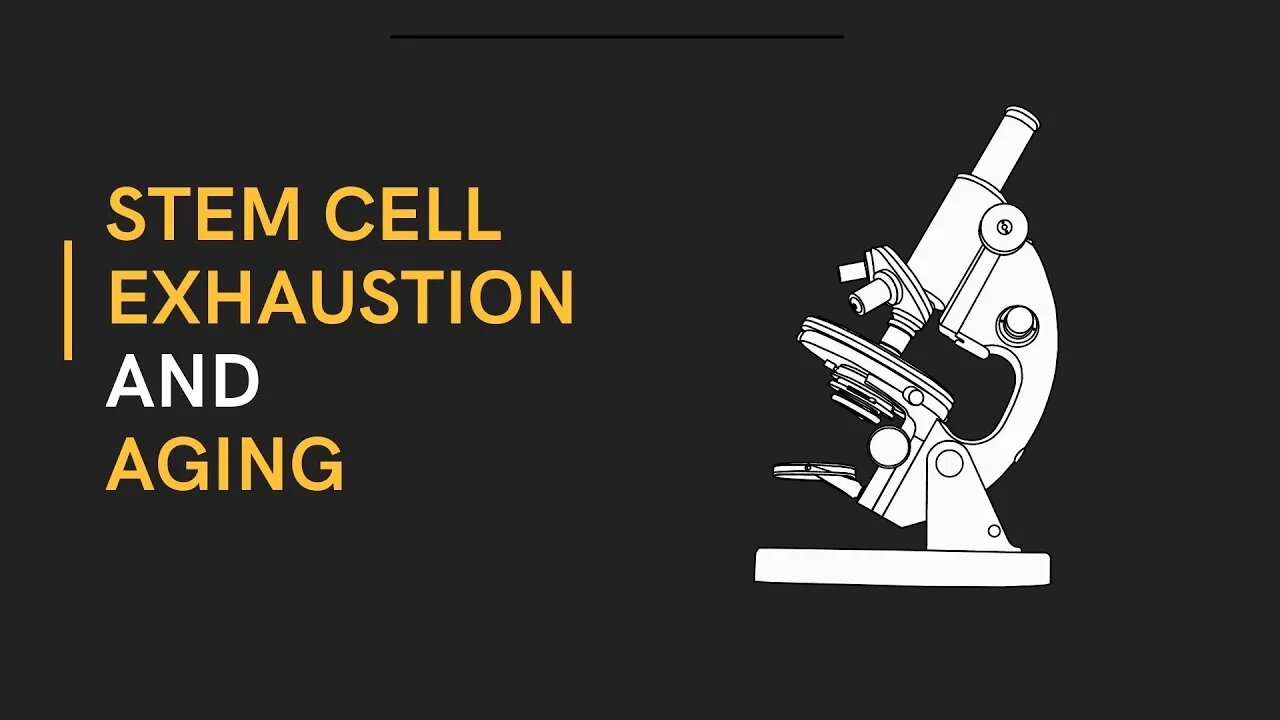 Stem cell exhaustion and aging