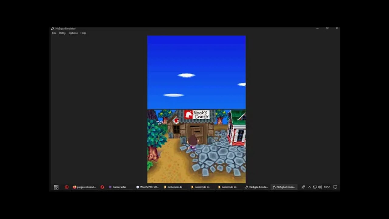 nintendo ds animal crossing