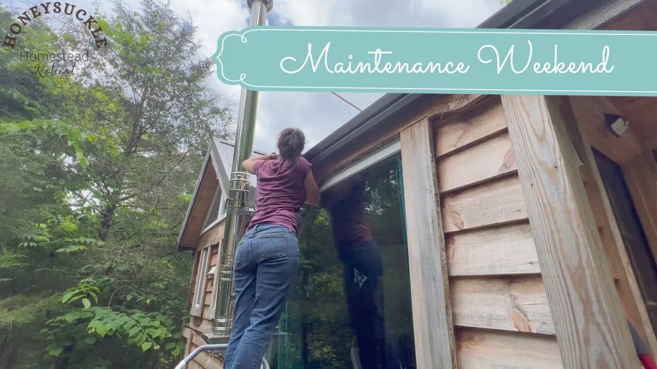 Maintenance Weekend: Cleaning out gutters and trimming some tree limbs!