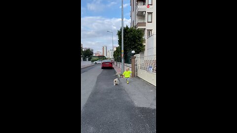 Funny little girl holding a cat