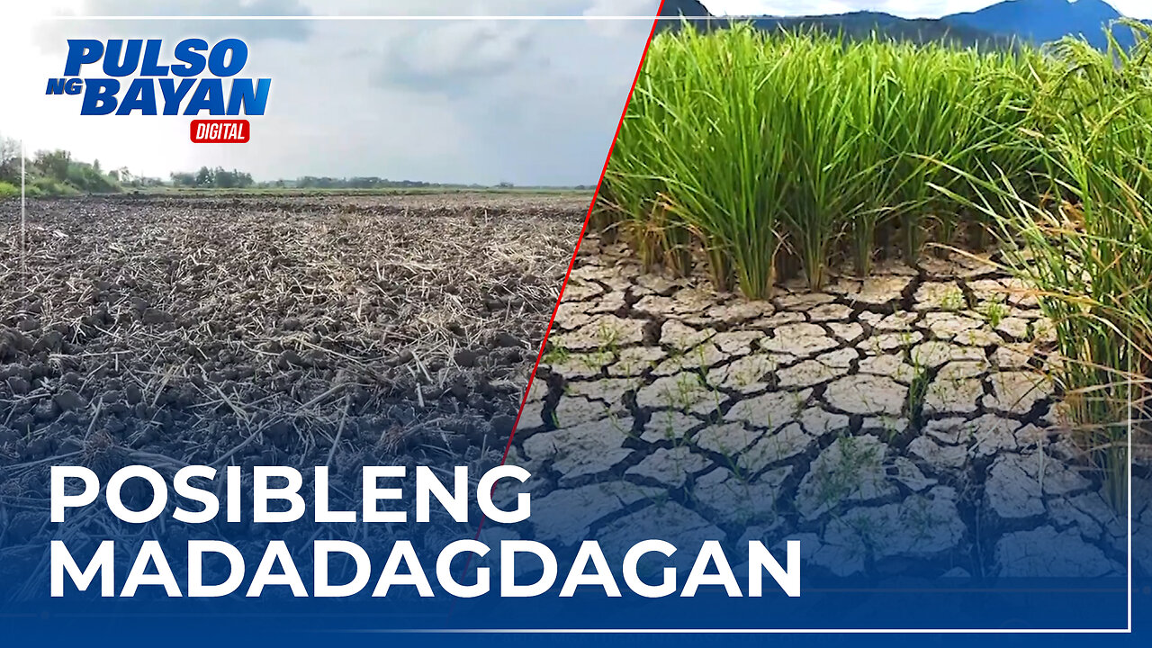 Mga lugar na nasa state of calamity, posibleng madadagdagan pa —Task Force El Niño