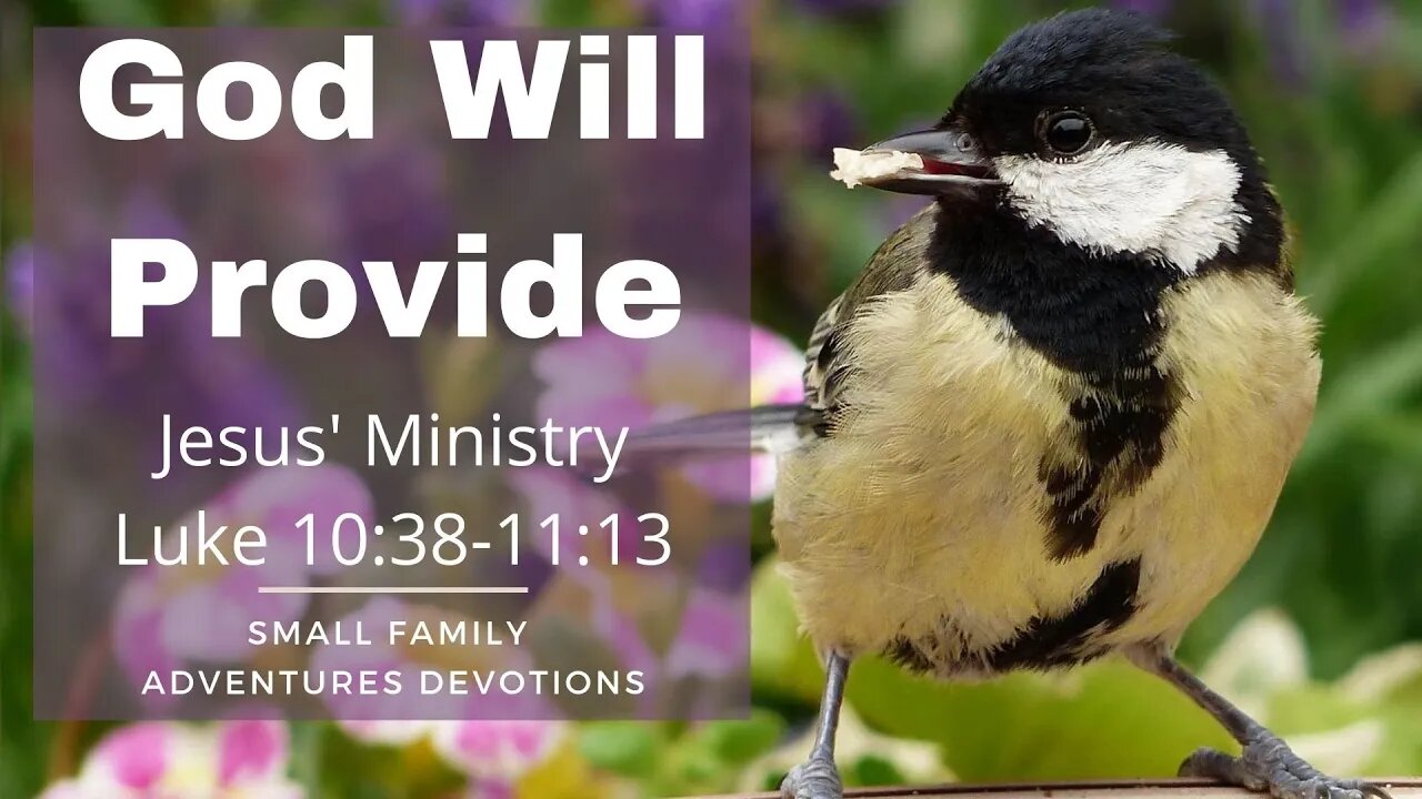 God Will Provide | Jesus' Ministry | Luke 10:38-11:13 | Small Family Adventures Devotions