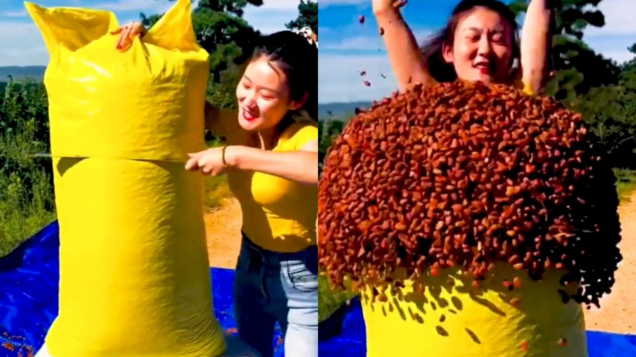 Quick workers satisfying shorts video (Part-1)