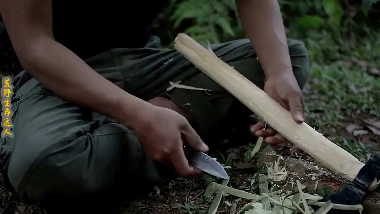 Man lives in the rain forest all year round and uses natural tree holes as shelter/Episode4