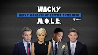 Media: ‘Stop Beating Up’ Biden! Fear Newsom Recall Instead – Wacky MOLE
