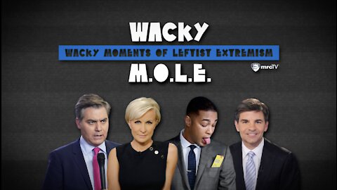 Media: ‘Stop Beating Up’ Biden! Fear Newsom Recall Instead – Wacky MOLE