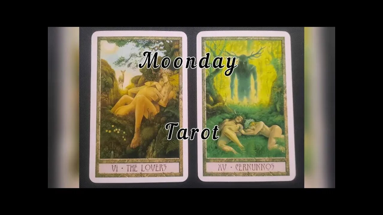 Moon-day Tarot with Rachel - June 6(666)