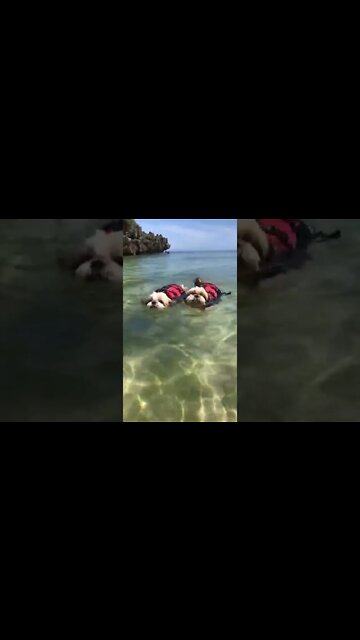 AQUELE AMIGO QUE SEMPRE TE ACONSELHA E TE ANIMA