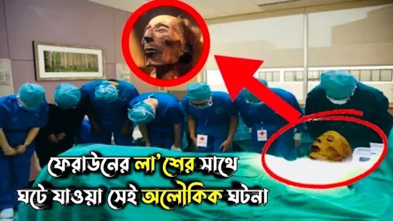 ফেরাউনের লাশের সাথে ঘটে যাওয়া সেই অলৌকিক ঘটনা | ফেরাউনের লাশ উদ্ধার | jannah