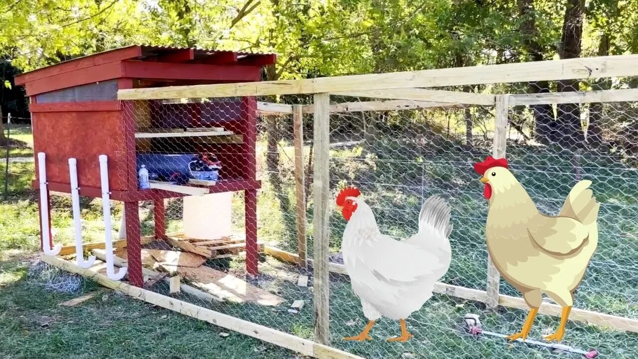 How We Plan To Use Chickens On Our Farm! | Farm Update