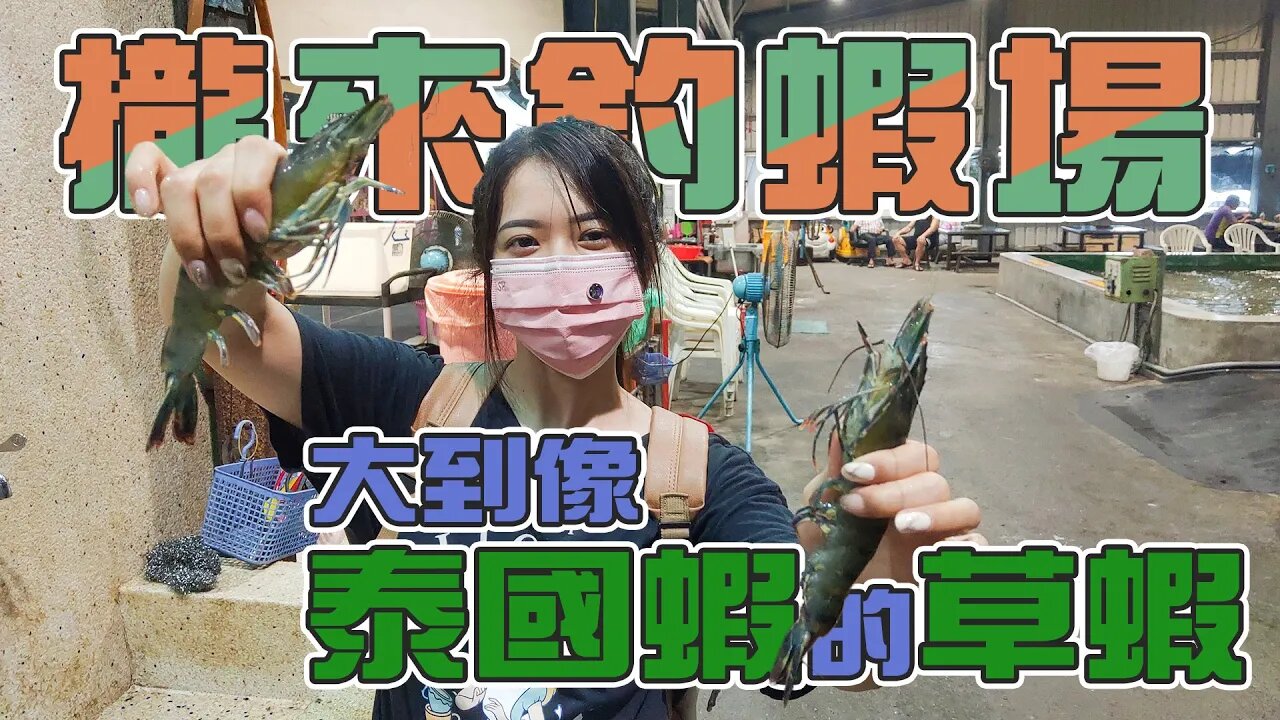 【台客去釣蝦】原來是草蝦啊，體型大到我還以為是泰國蝦呢！ feat.攏來釣蝦場