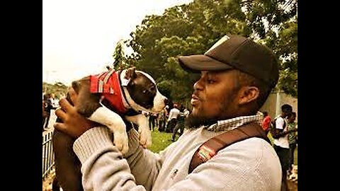 funniest pets