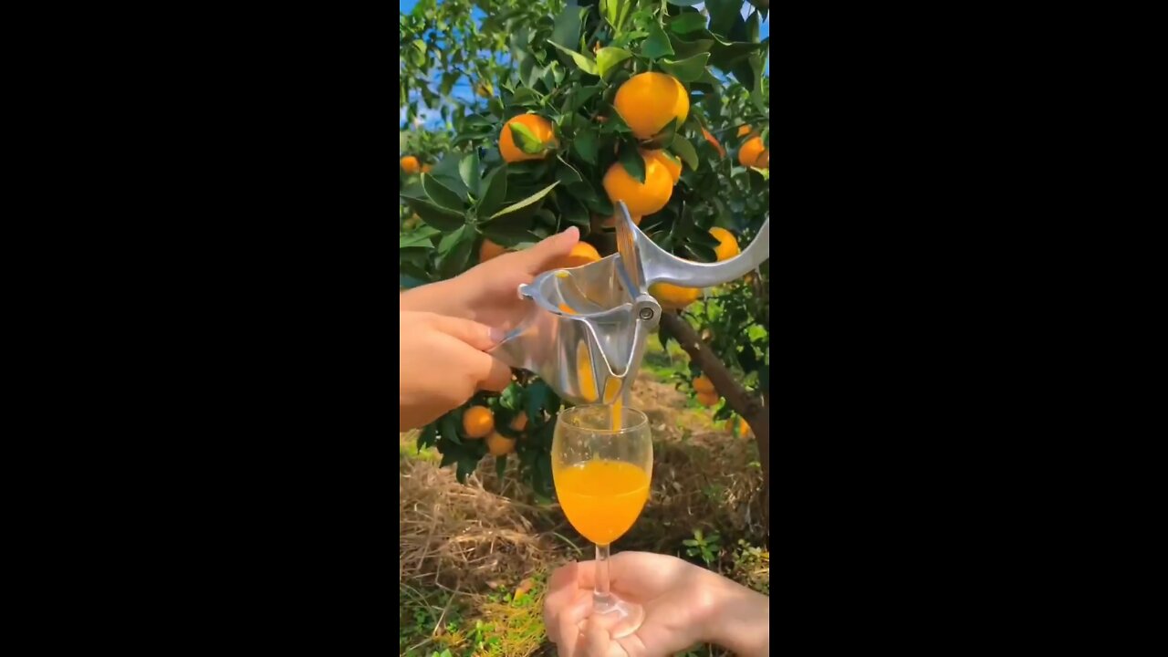 Orange Juice 🍊🍊🍊