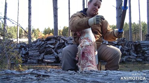 Fleshing deer hides