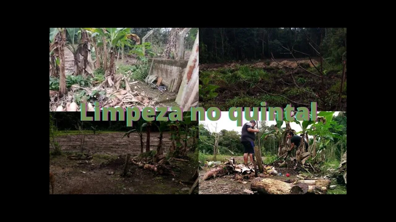Cuidando do quintal- Manutenção das Bananeiras