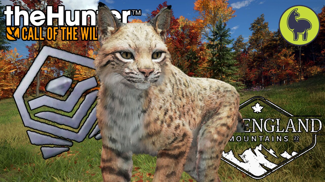 First Diamond on New England Mountains | theHunter: Call of the Wild PS5