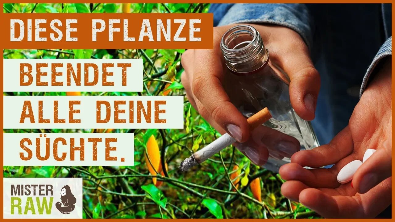 Iboga / Diese Pflanze beendet alle deine Süchte!