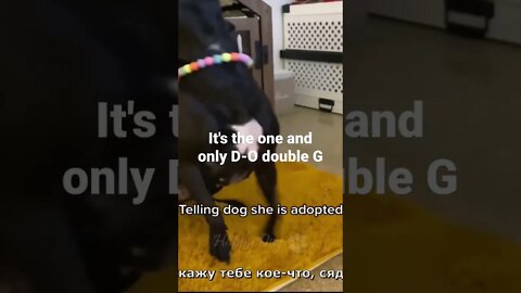 It's the one and only D-O double G #shorts