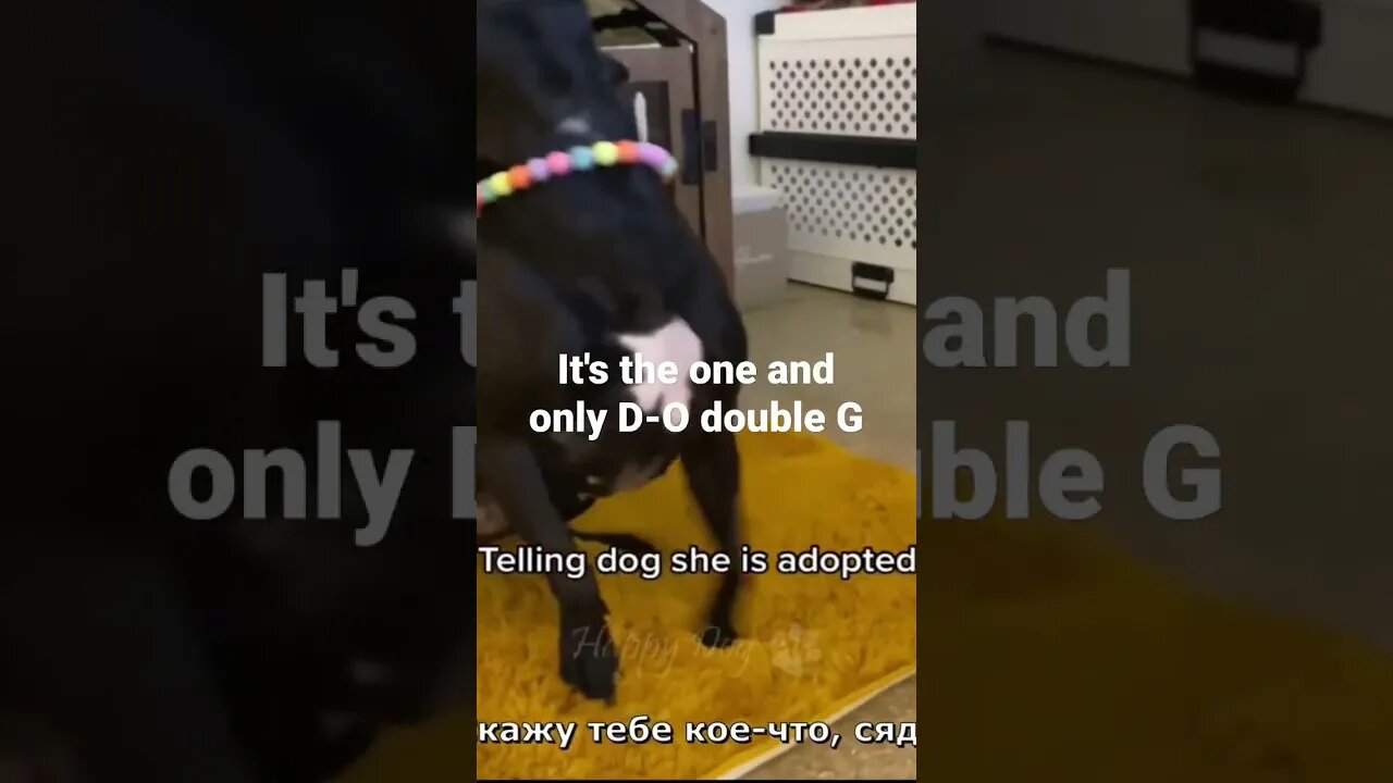 It's the one and only D-O double G #shorts