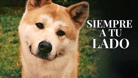 CINERAVE - Hachiko: Siempre a tu lado [𝗝-𝗖]