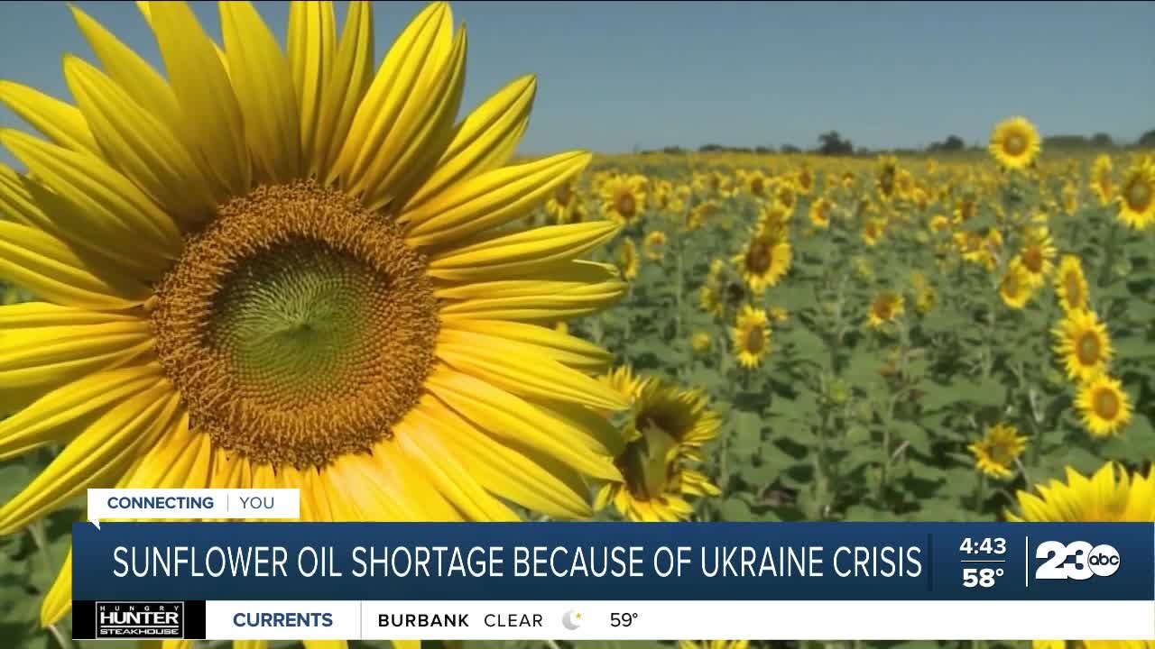 Russian invasion in Ukraine leading to sunflower oil shortage