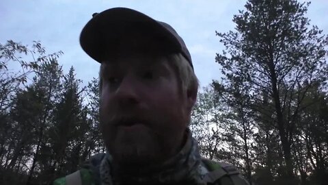 SUPER FAST Turkey HUNT! | Wisconsin Public Land Turkey Hunt