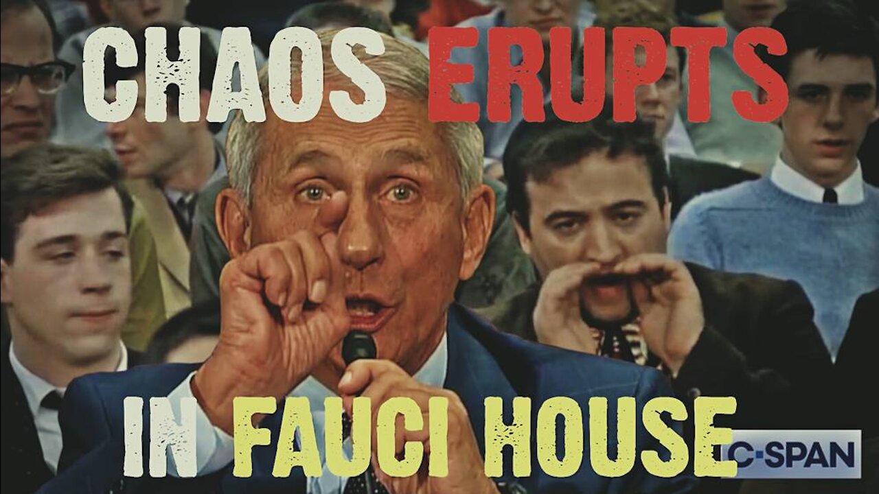 Chaos in Fauci House!