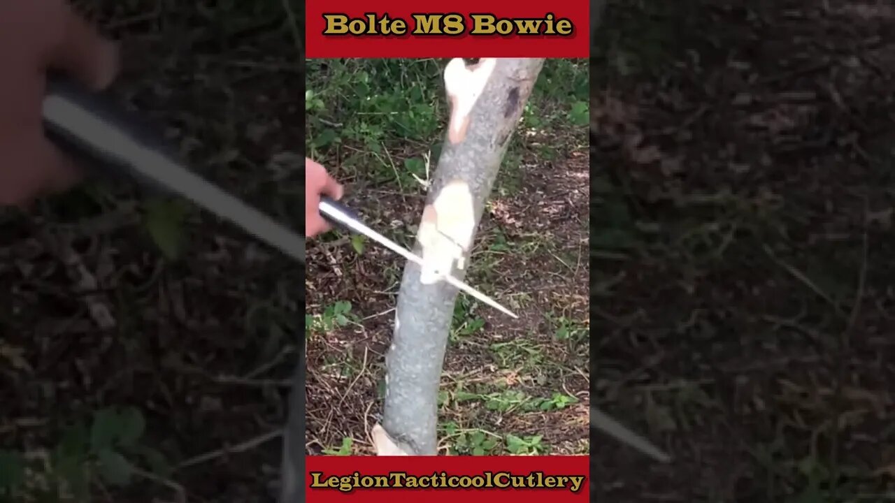 Sick Bowie! Bolte M8! Choppin machine n #bowieknife #edc #knife #shorts #outdoors #bushcraft