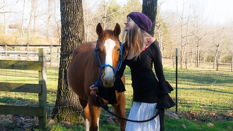 Christmas music with the Animals