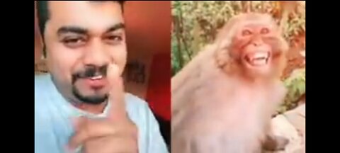 Troll Prank Funny Dog & Fake Lion