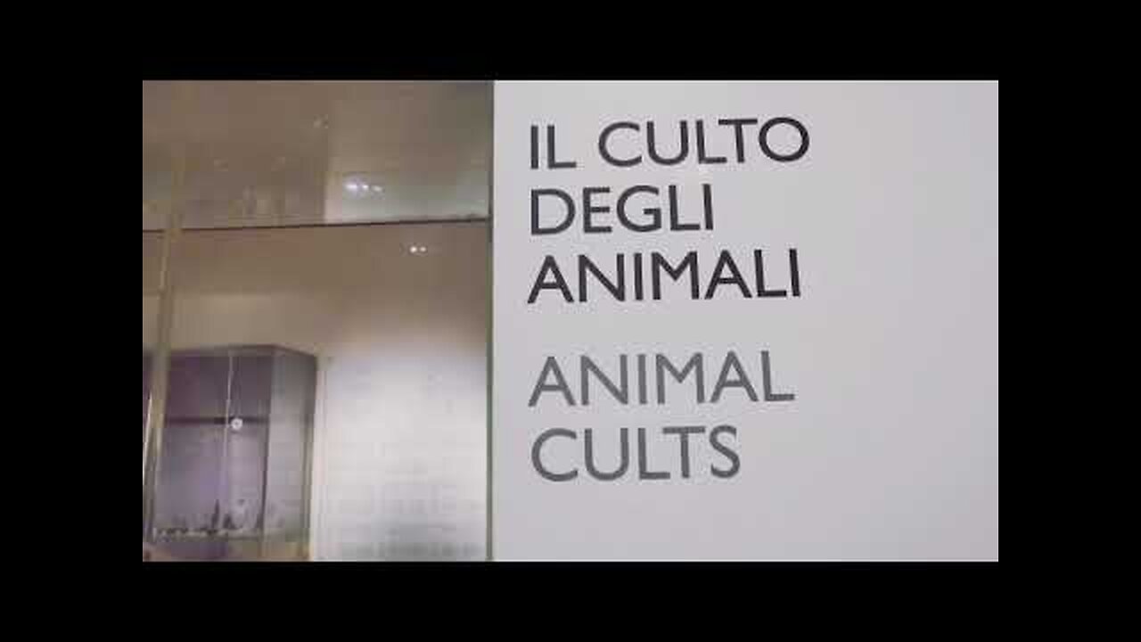 Il millenario culto degli animali,il peccato di ZOOLATRIA dei pagani e dei massoni DOCUMENTARIO hanno cambiato la gloria dell'incorruttibile Dio con l'immagine e la figura dell'uomo corruttibile,di uccelli,di quadrupedi e di rettili.