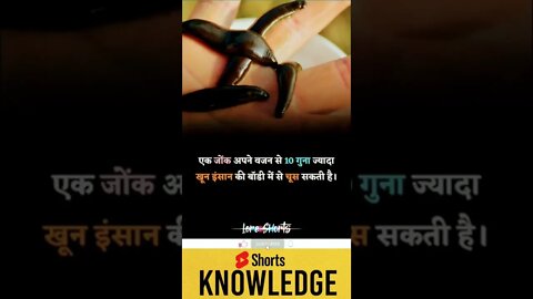 Motivational Quotes Intresting Facts lifestyle & research #shorts #ytshorts #knowledge #motivation