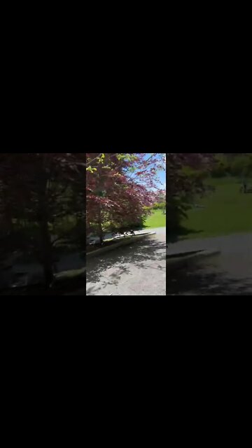 Point Pleasant Park Hali