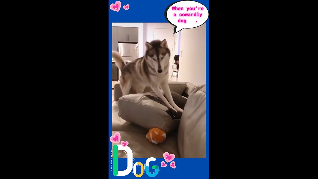 A Weak Dog 🤣 Dogs TikTok - Awesome Funny Pet Life Videos @Shorts @Short @Fu_Full-HD