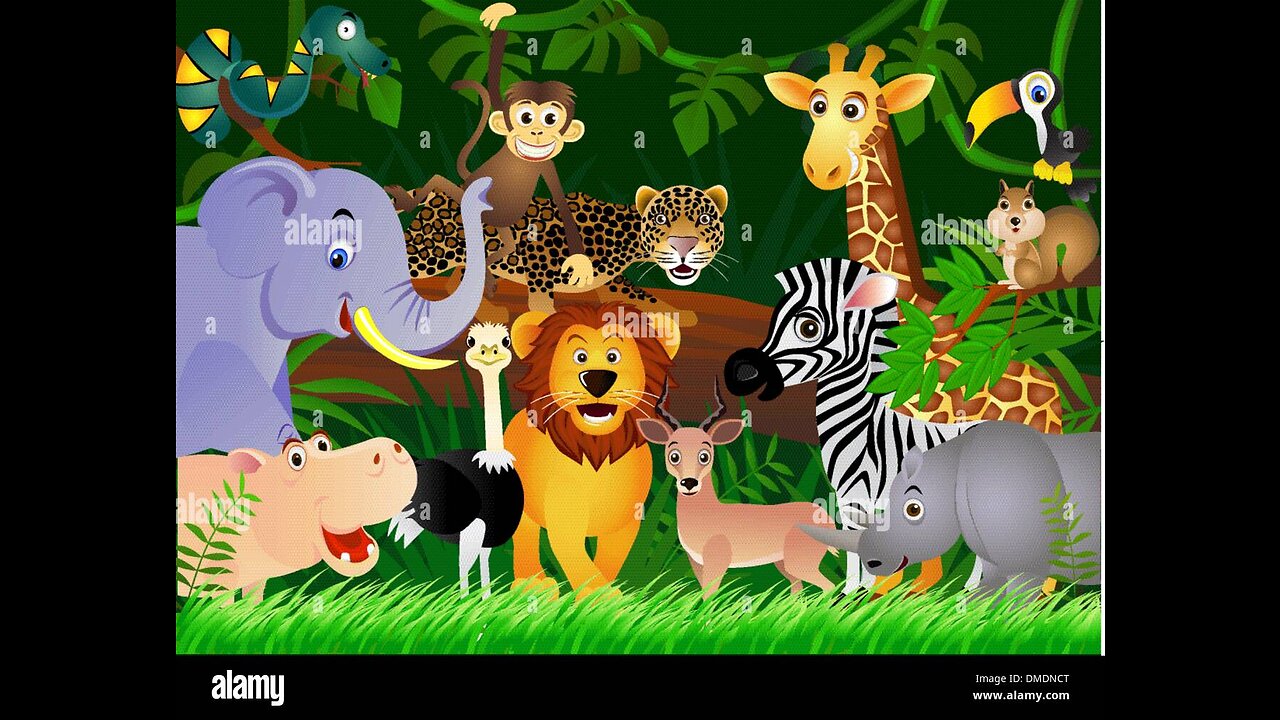 cute little animals | cute baby animals | elephant horse lion bear all animal sound