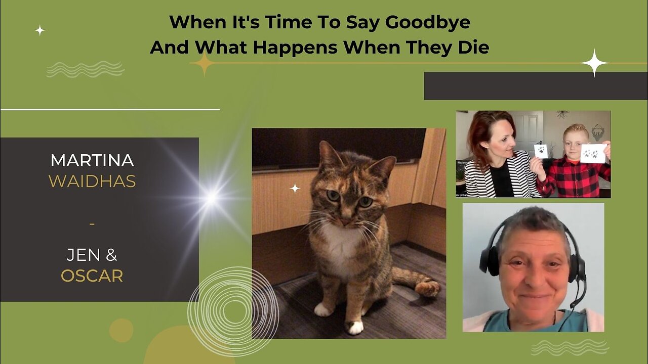 When It's Time To Say Goodbye And What Happens When They Die 🐈 🐾 ✨