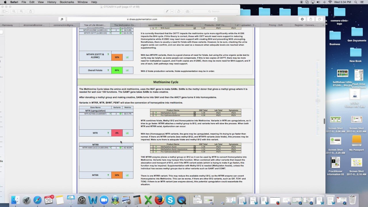 Folate Pathway Review - Dr. Kevin Conners