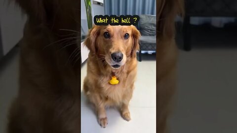 I do Not Eat
