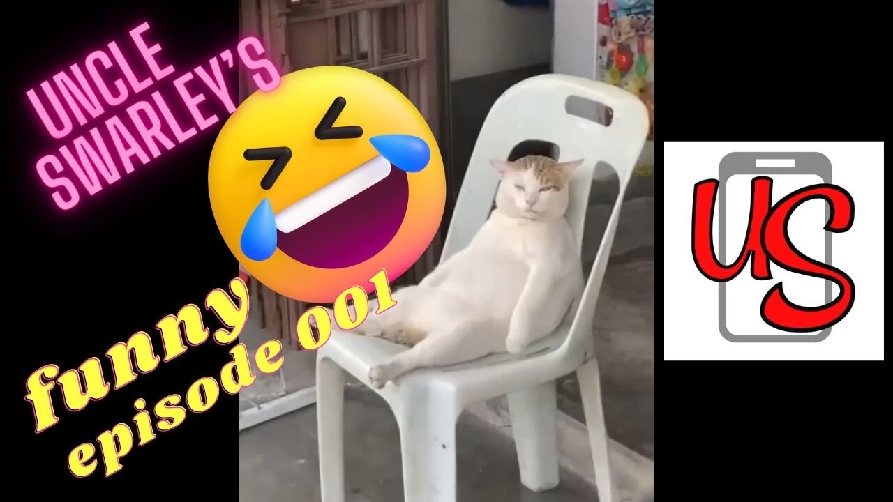 Funny animals 😄hub, funny animals club, 🤣, funny animals dancing 💃😄, funny animals fighting 😄