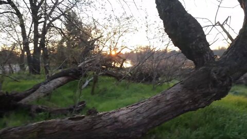 🔴 Sunrise On The Bike Trail