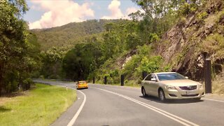 Driving in Queensland Mountains || Springbrook Mountain